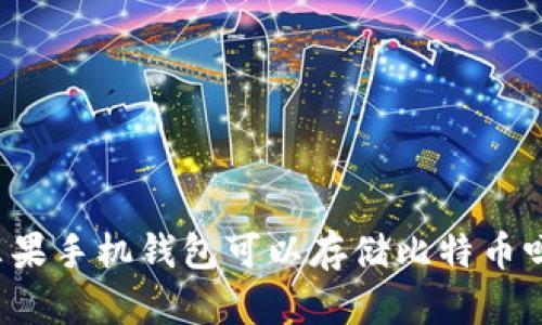 苹果手机钱包可以存储比特币吗？