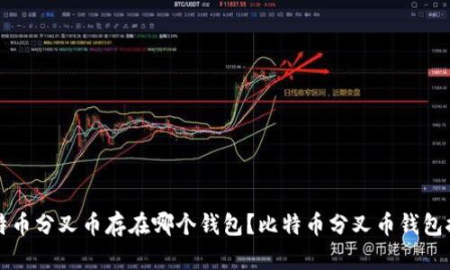 比特币分叉币存在哪个钱包？比特币分叉币钱包推荐