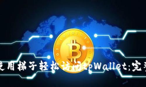 字母
如何使用梯子轻松访问tpWallet：完整指南