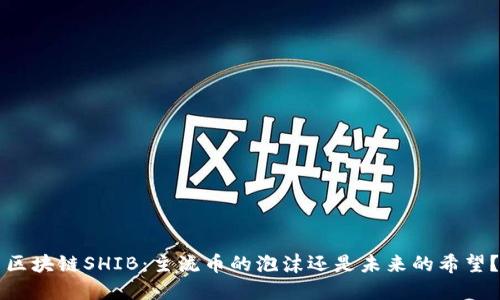 区块链SHIB：主流币的泡沫还是未来的希望？