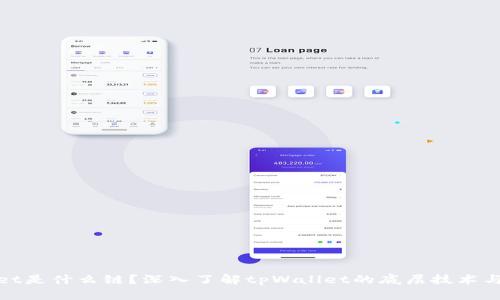 : tpWallet是什么链？深入了解tpWallet的底层技术与应用场景