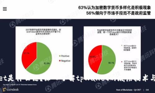 : tpWallet是什么链？深入了解tpWallet的底层技术与应用场景