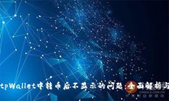 如何解决tpWallet中转币后不显示的问题：全面解析