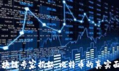 区块链专家揭秘：比特币的真实面目