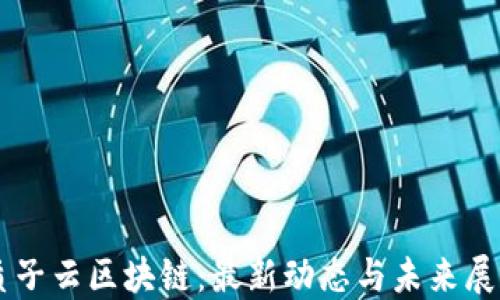 质子云区块链:最新动态与未来展望