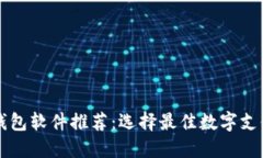 虚拟钱包软件推荐：选择最佳数字支付工具