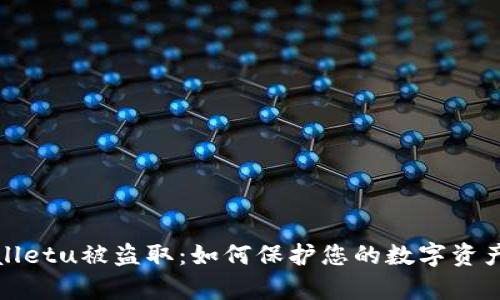 tpWalletu被盗取：如何保护您的数字资产安全