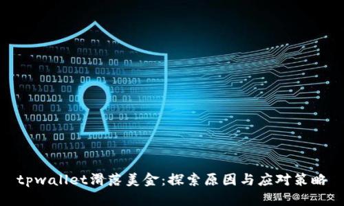 tpwallet滑落美金：探索原因与应对策略