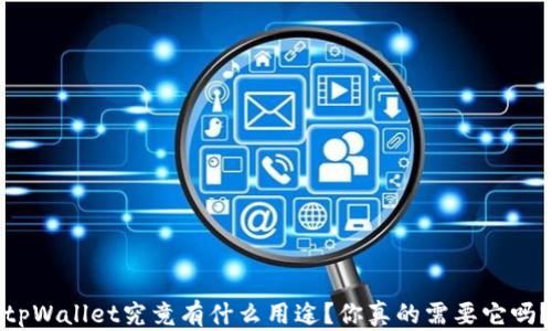 
tpWallet究竟有什么用途？你真的需要它吗？