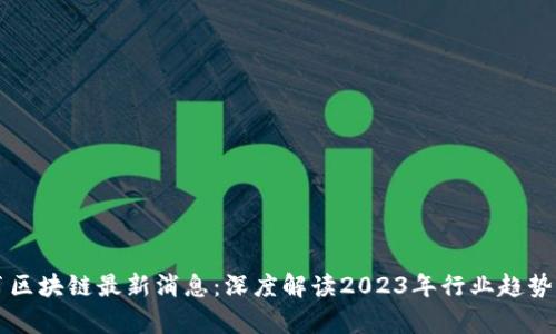 蓝皮书区块链最新消息：深度解读2023年行业趋势与前景