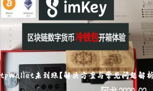tpWallet未到账？解决方案与常见问题解析