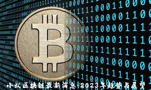 
小蚁区块链最新消息：2023年趋势与展望