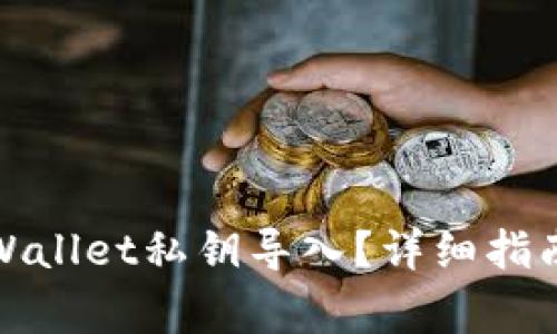 如何手动输入tpWallet私钥导入？详细指南与常见问题解答