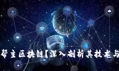 什么是币帮主区块链？深入剖析其技术与应用前景