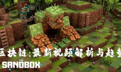 蔡栋区块链：最新视频解析与趋势分析