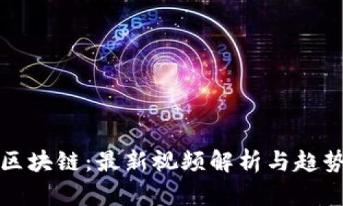 蔡栋区块链：最新视频解析与趋势分析