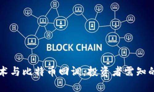 区块链技术与比特币回调：投资者需知的市场动态