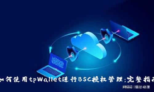 如何使用tpWallet进行BSC授权管理：完整指南