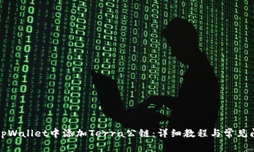 如何在tpWallet中添加Terra公链:详细教程与常见问题解答