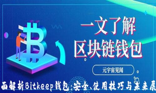 
全面解析Bitkeep钱包：安全、使用技巧与未来展望