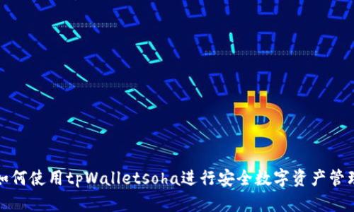 如何使用tpWalletsoha进行安全数字资产管理