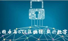 深入解析比特币与BTE区块链：新兴数字资产的未