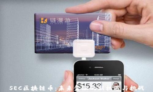 
SEC区块链币：未来金融的新机遇与挑战