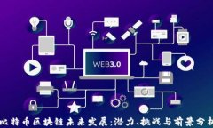比特币区块链未来发展：潜力、挑战与前景分析