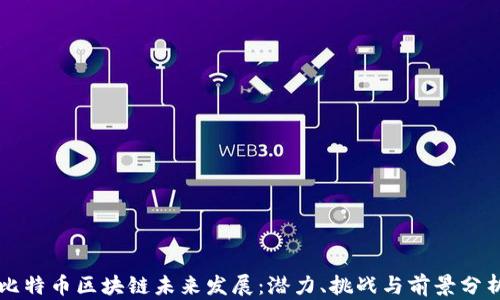 
比特币区块链未来发展：潜力、挑战与前景分析