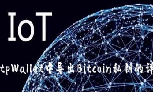如何在tpWallet中导出Bitcoin私钥的详细指南