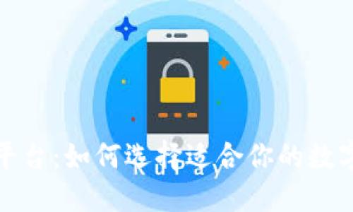 揭秘区块链平台：如何选择适合你的数字货币交易所