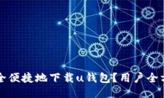 如何安全便捷地下载u钱包？用户全方位指南