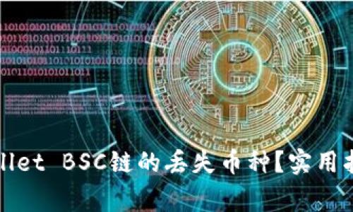 如何找回tpWallet BSC链的丢失币种？实用指南与注意事项