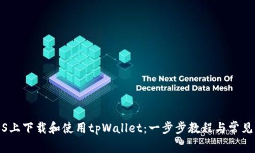 如何在iOS上下载和使用tpWallet：一步步教程与常见问题解答