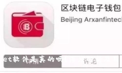 tpWallet软件是真的吗？深度解析及用户反馈