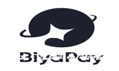 了解区块链技术：虚拟币的崛起与未来趋势