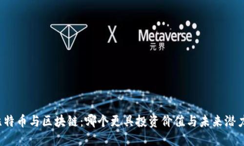 比特币与区块链：哪个更具投资价值与未来潜力？