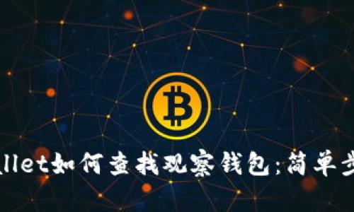 在tpWallet如何查找观察钱包：简单步骤详解