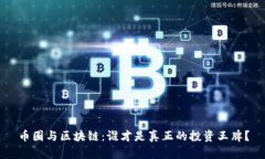 币圈与区块链：谁才是真正的投资王牌？