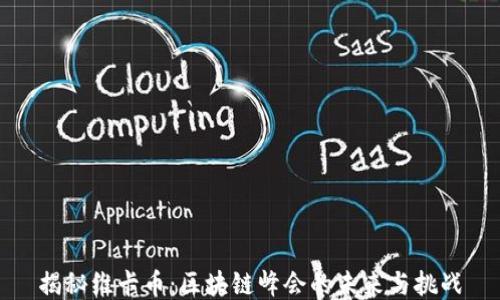 
揭秘维卡币：区块链峰会的未来与挑战