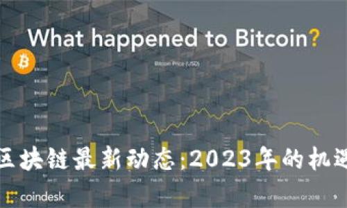 盛希泰区块链最新动态：2023年的机遇与挑战