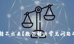 TPWallet转不出来？教你解决常见问题的全面指南
