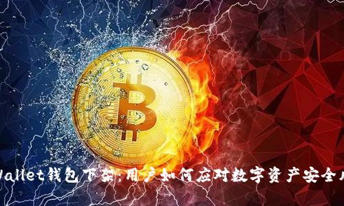 tpWallet钱包下架：用户如何应对数字资产安全风险