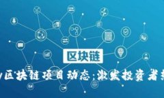 最新Aeternity区块链项目动态：激发投资者热情的