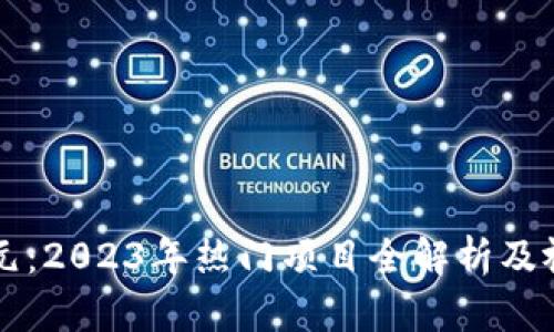 区块链新纪元：2023年热门项目全解析及视频下载指南