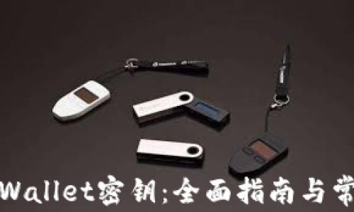 
如何找回tpWallet密钥：全面指南与常见问题解答