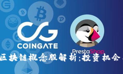 2023年人民币区块链概念股解析：投资机会与市场前景分析