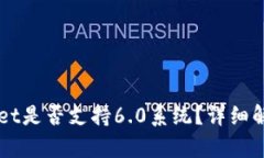 ### tpWallet是否支持6.0系统？详细解读与用户指南