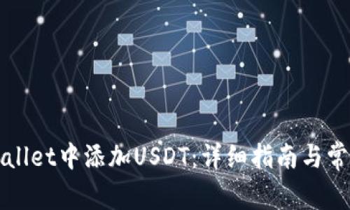 如何在tpWallet中添加USDT:详细指南与常见问题解答