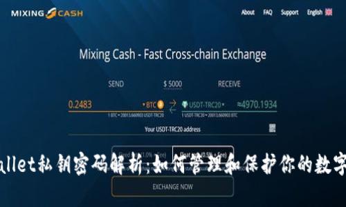 tpWallet私钥密码解析:如何管理和保护你的数字资产